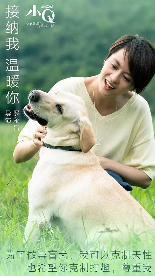 北京航空航天大学毕业证样本